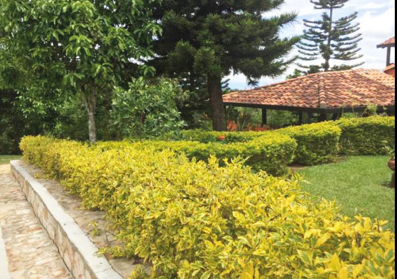 Hotel Cristo Rey Campestre Los Santos  Dış mekan fotoğraf